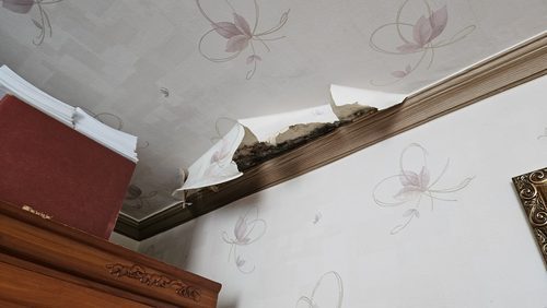 누수탐지 삼성동 주상복합 지하 2층 주차장 시공 후기 사진