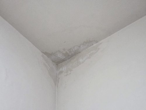 누수탐지 삼성동 업무시설 5층 사무실 천장 시공 후기 사진