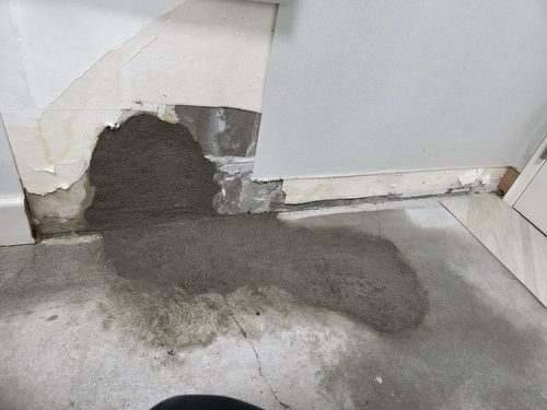 누수탐지 현장 확인