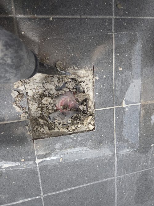 누수탐지 세곡동 단독주택 지하 창고 벽면 시공 후기 사진