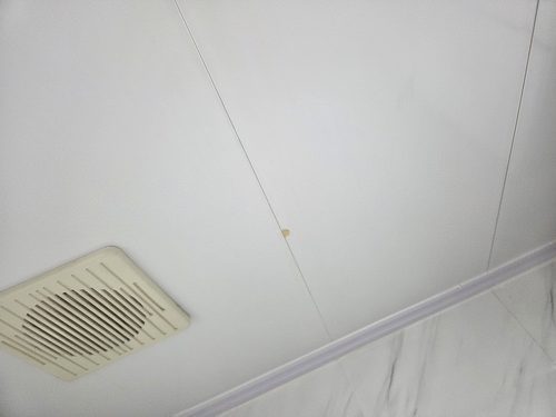 누수탐지 신사동 단독주택 2층 복도 벽면 시공 후기 사진