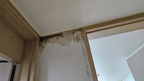 누수탐지 기배동 누수탐지 아랫집화장실물샘 자가 점검과 전문 점검 비교