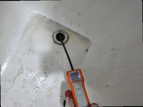 일산동구 함께 확인 일산동구 함께 확인