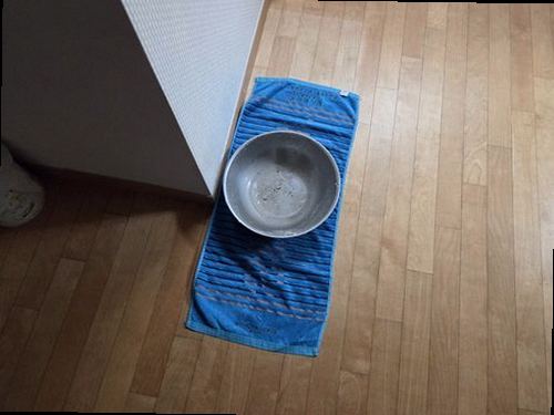 누수탐지 세면대 하부 연결부를 보수하는 작업 장면