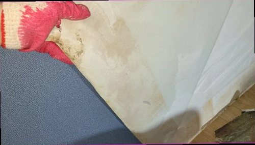 도봉구 누수탐지 천장과 벽면에 번진 누수 흔적을 확인하는 현장