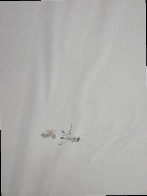 송파구 누수탐지 석촌동 아파트 5층 거실 벽면 시공 후기 사진