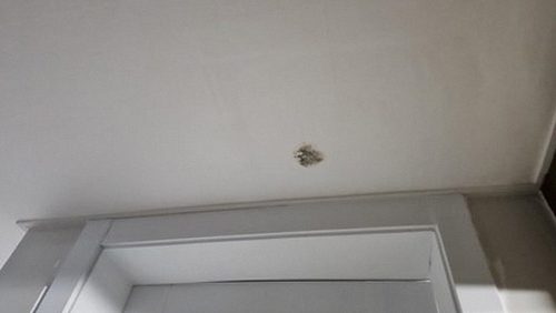 누수탐지 수색동 천장 누수탐지 전 확인할 항목