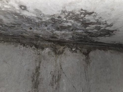 종로구 누수탐지 무악동 아파트 5층 거실 시공 후기 사진