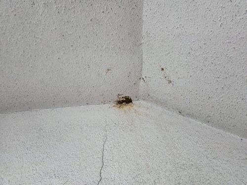 누수탐지 화동 누수탐지 바닥물샘증상 아파트 점검 전 확인할 항목