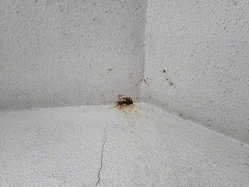 누수탐지 바닥 습도 측정과 배관 위치 확인 장면