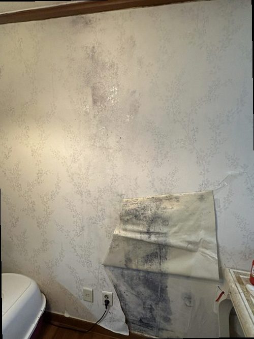 오산 누수탐지 초평동 아파트 10층 아이방 벽면 시공 후기 사진