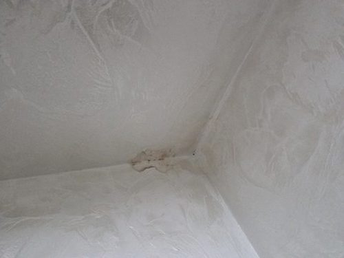 누수탐지 측정 기록지와 습도계를 함께 점검하는 장면