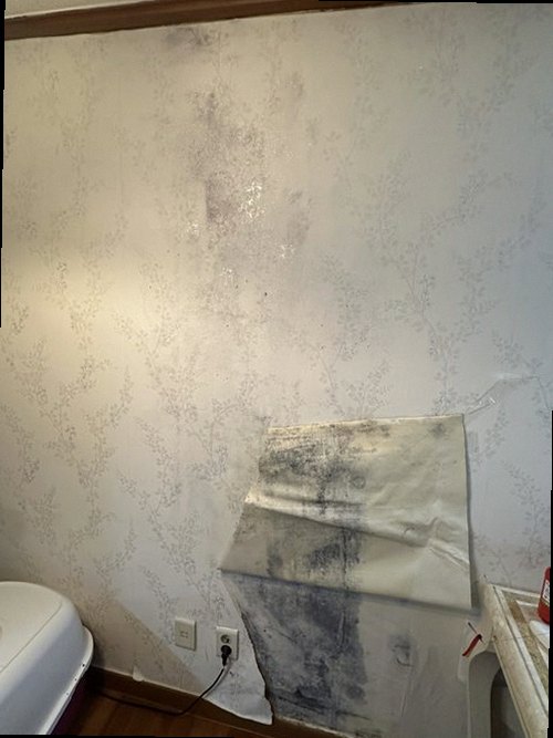 남양주 누수탐지 별내면 빌라 2층 아이방 벽면 시공 후기 사진