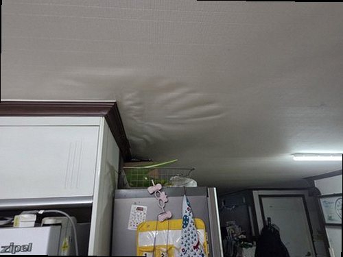 분당구 완료 점검 분당구 완료 점검