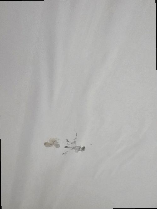 병점구 누수탐지 반송동 오피스텔 12층 거실 벽면 시공 후기 사진