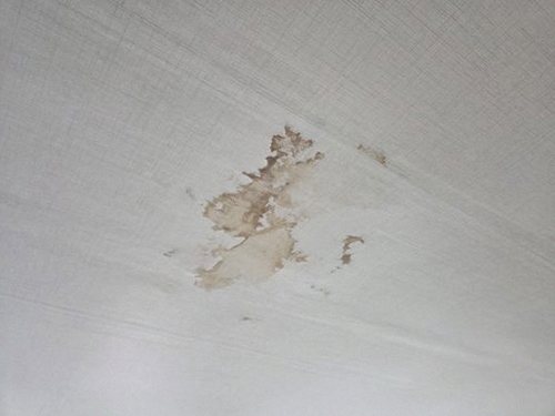 누수탐지 청음, 압력 시험, 열화상 확인을 조합한 진단 과정