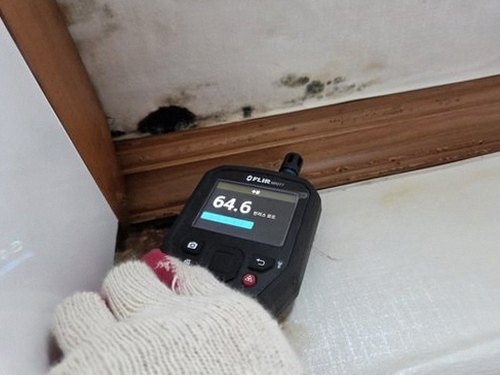 누수탐지 상계동 누수탐지 안방누수흔적 시간 줄이는 점검 방법