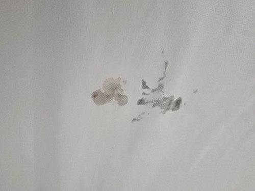 누수탐지 거실 누수 원인부터 해결까지