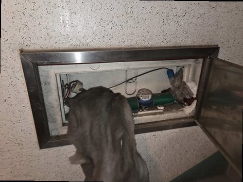 양천구 현장 작업