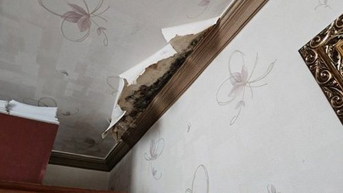 누수탐지 회기동 누수탐지 아파트 안방 얼룩 확인 체크 5가지