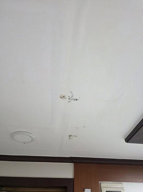 누수탐지 점검 결과에 따라 배관과 마감 상태를 확인하는 과정