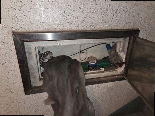 광주 현장 작업