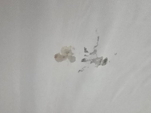 누수탐지 거실 벽면 얼룩을 측정 장비로 점검하는 장면