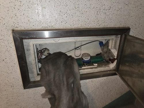 누수탐지 점검 기록지와 얼룩 변화를 비교하는 확인 장면