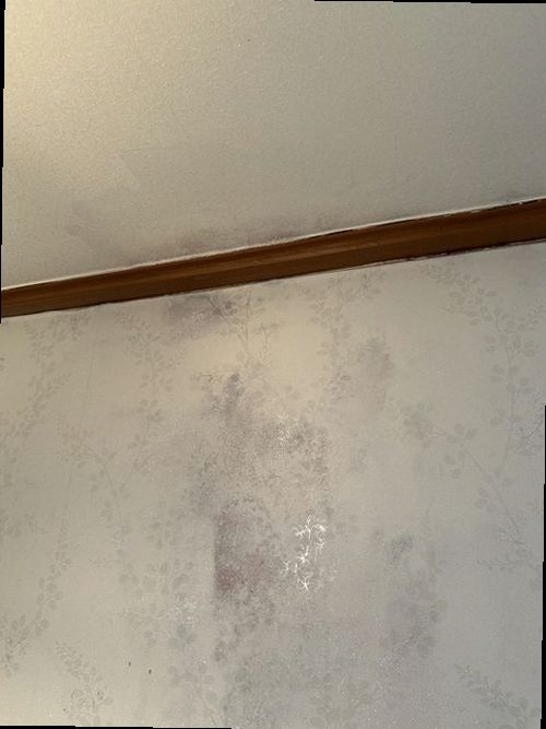 분당구 누수탐지 천장 물자국 주변을 살피는 점검 장면