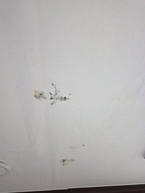 누수탐지 안방 벽면 하단에 번진 누런 얼룩과 들뜬 벽지 모서리