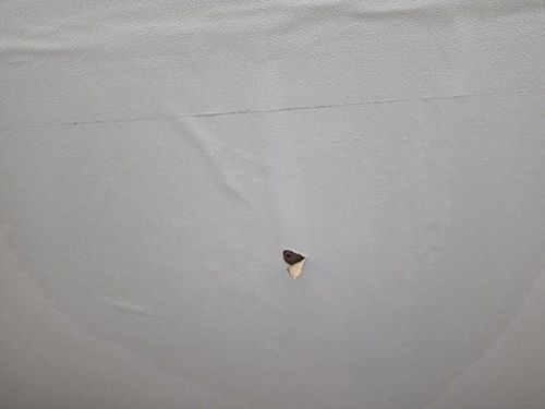 누수탐지 상현동 누수탐지 아파트 아래층 욕실 얼룩 처음이라면 순서부터