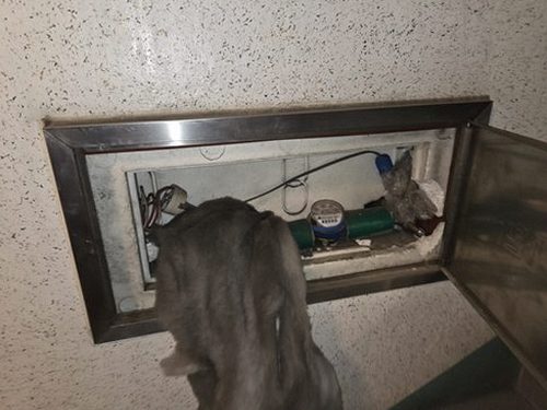 누수탐지 옥련동 누수탐지 왜 천장 물샘을 미루면 안 될까