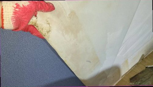 종로구 누수탐지 벽면 변색과 바닥 습기를 확인하는 누수 점검 현장