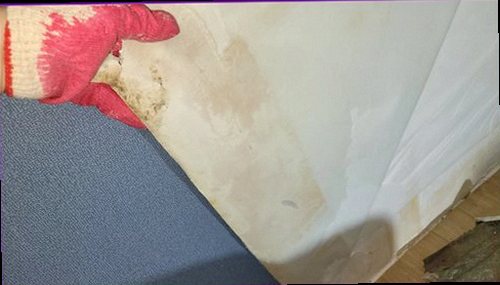 영등포구 누수탐지 벽과 천장에 나타난 누수 흔적을 확인하는 모습