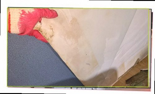 누수탐지 시흥시 대야동 누수탐지 누수업체비용 작은 흔적을 미루면 피해가 커집니다