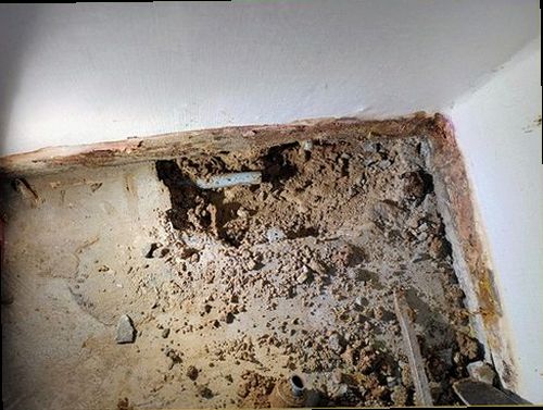 오산 누수탐지 천장 누수 흔적과 주변 점검 항목을 확인하는 모습