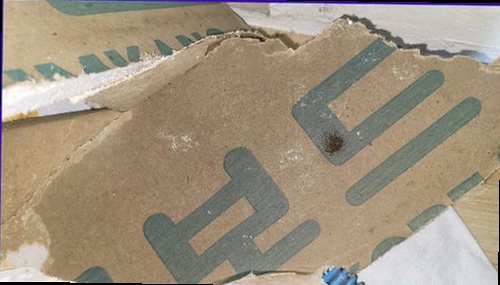 이천 누수탐지 천장 얼룩과 벽지 들뜸을 확인하는 점검 모습