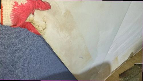 일산동구 누수탐지 천장에 번진 얼룩과 습기 흔적을 확인하는 모습