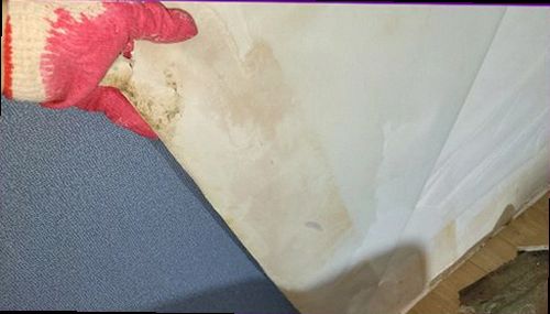 서해구·검단구 누수탐지 누수 원인을 확인하기 위해 수분 상태를 측정하는 과정