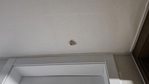 누수탐지 마포구 합정동 누수탐지 누수비용평균 초기 대응이 시간을 줄이는 기준