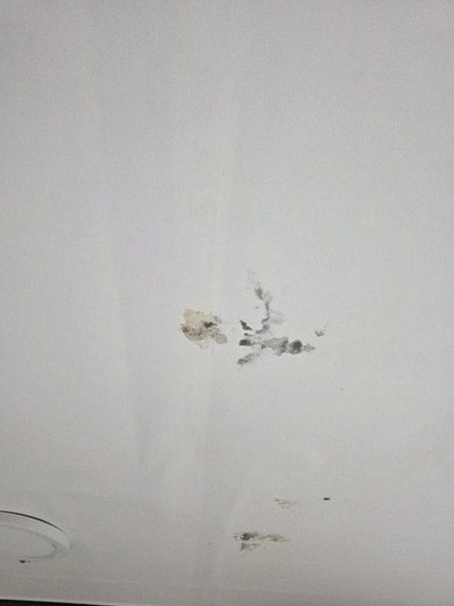 누수탐지 공평동 누수탐지 안방물샘해결 늦기 전에 마치는 신속한 점검