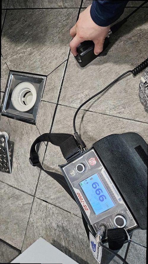 동대문구 현장 확인