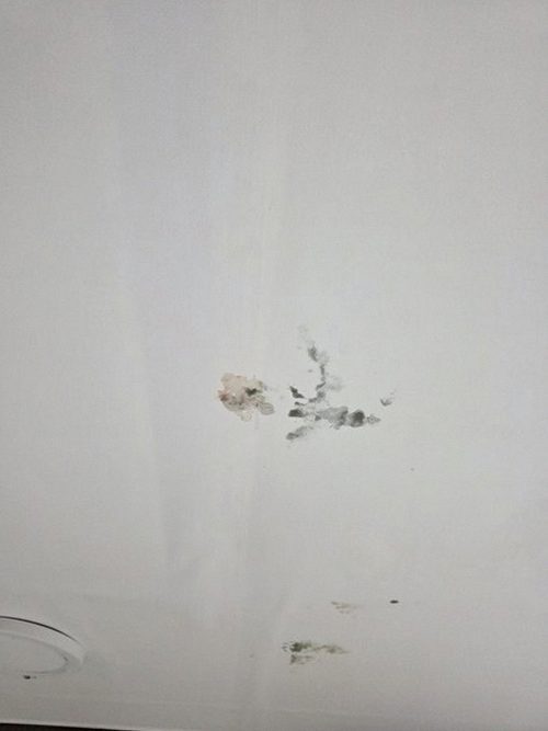 누수탐지 벽면 수분 상태와 전기 설비 주변을 살피는 점검 장면