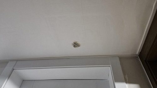 누수탐지 연희동 누수탐지 아파트 거실 도배 변색 해결 끝까지 확인