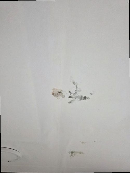 김포 현장 확인