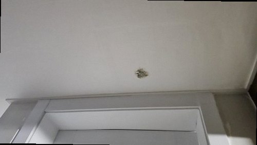 장안구 누수탐지 영화동 다가구주택 3층 작은방 천장 시공 후기 사진