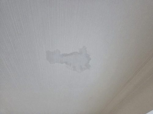 누수탐지 천장 주변의 수분 상태와 점검 구역을 확인하는 과정