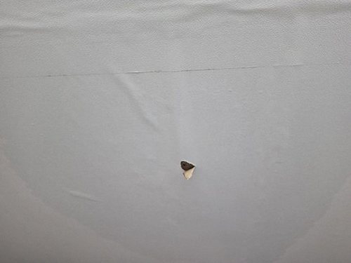 누수탐지 석우동 누수탐지 아파트 천장 얼룩 뒤 윗집 배관 원인 찾기