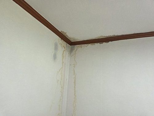 누수탐지 원당동 누수탐지 누수진단방법 어떤 순서로 확인할 수 있을까?