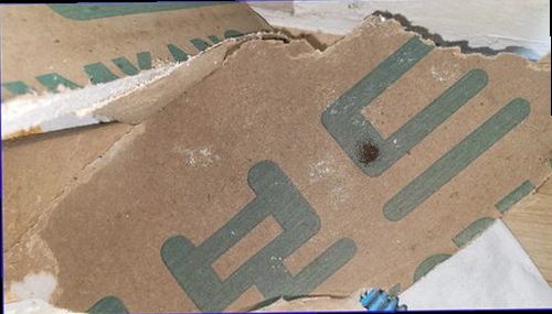 노원구 누수탐지 천장 얼룩과 누수 흔적을 확인하는 점검 현장